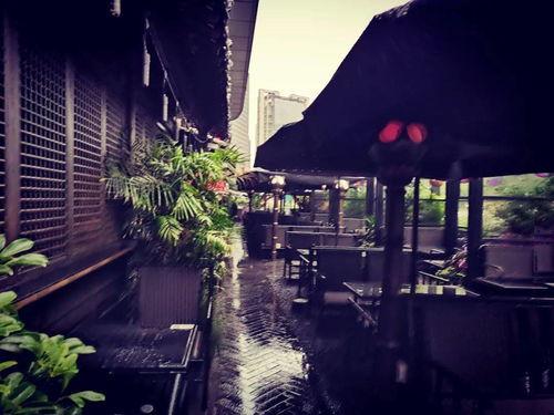 夏夜 第一季,青春校园的浪漫序章